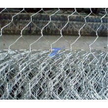 Hot Dipped Galvanized Hexagonal Wire Mesh (TS-J52)